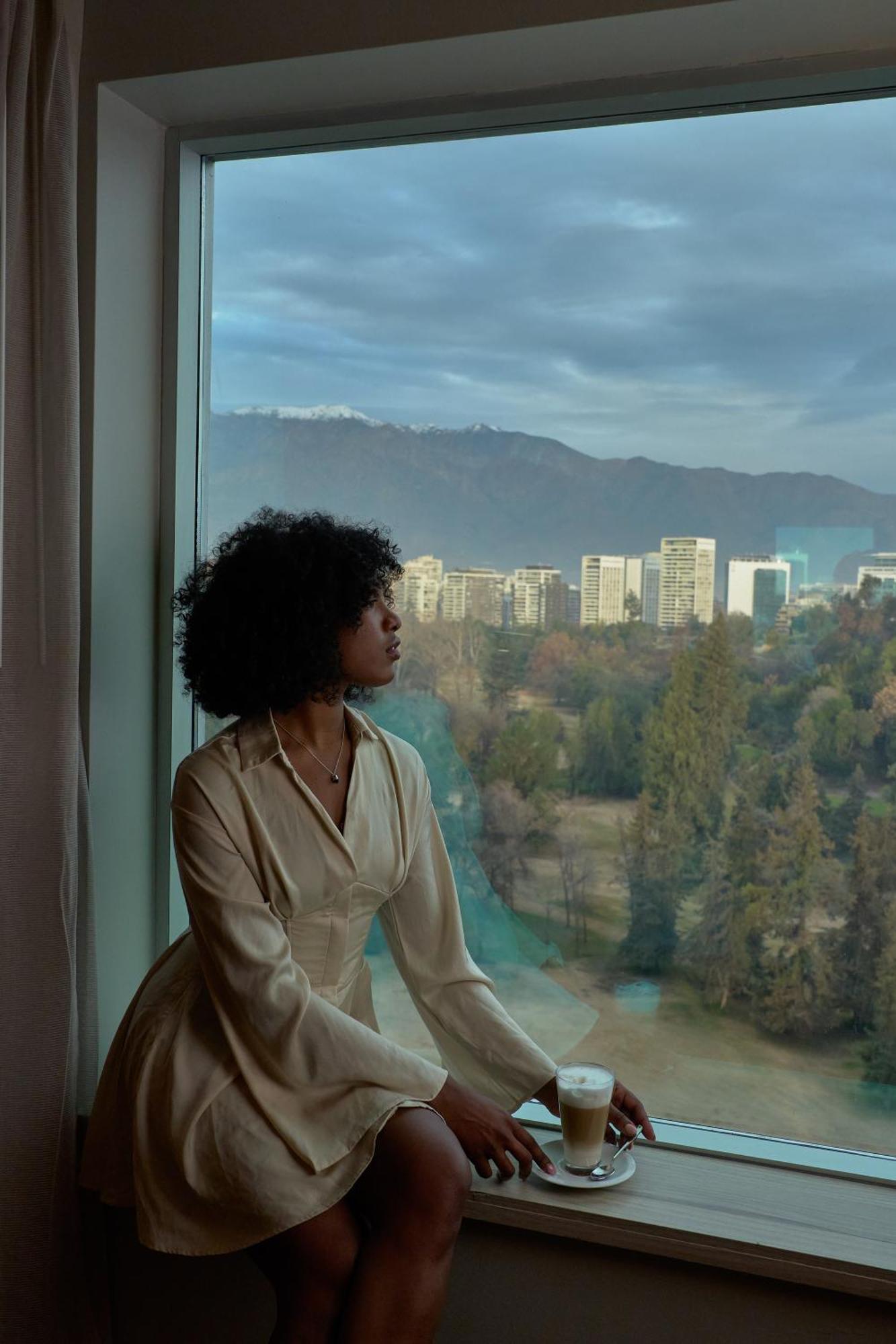 Pullman Santiago Vitacura المظهر الخارجي الصورة A woman with natural hair